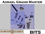 Bits > Azrael Shoulder Guards & Accessories BiDAASGM01 4*6